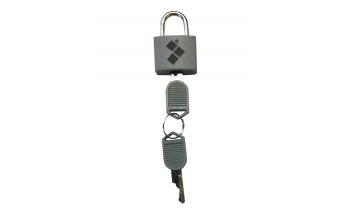 Lock Routemark mini gray