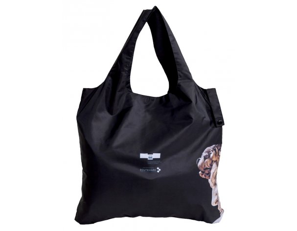 Bag shopping Routemark «David» Michelangelo, Pushkin Museum