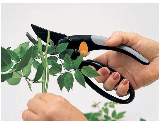 Секатор с петлей для пальцев Fiskars P44 1001534/111440