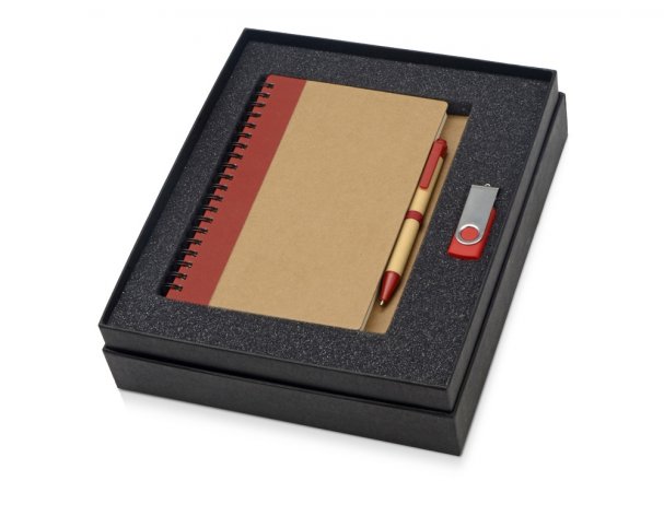 Gift set Essentials with USB flash drive and A5 notebook with pen, red (700321.01)
