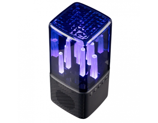 Wireless speaker with backlight Indivo citySound, black (13930.30)