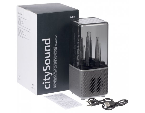 Wireless speaker with backlight Indivo citySound, black (13930.30)