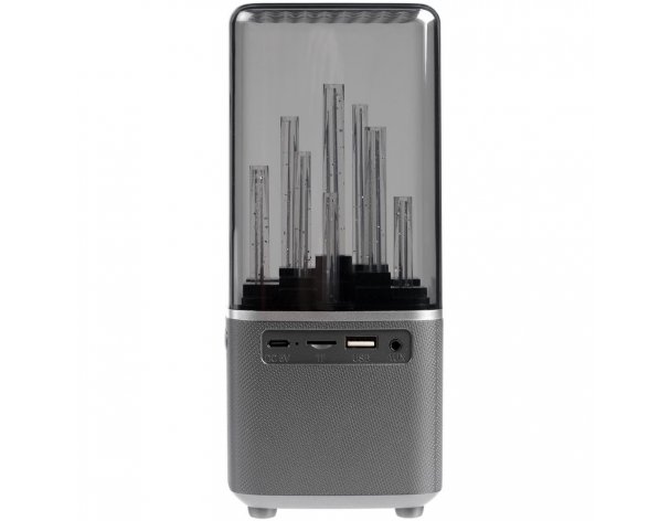 Wireless speaker with backlight Indivo citySound, black (13930.30)