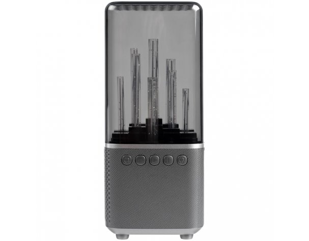 Wireless speaker with backlight Indivo citySound, black (13930.30)