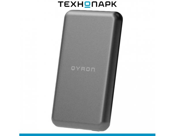 External battery Qyron PB301