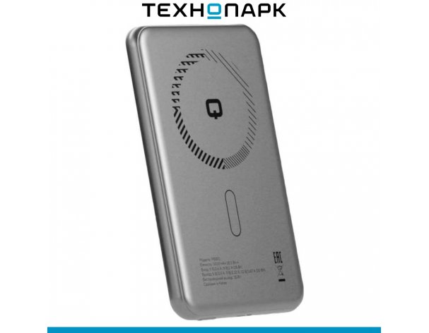External battery Qyron PB301