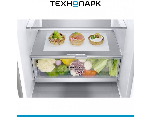 Fridge LG GA-B509SAUM