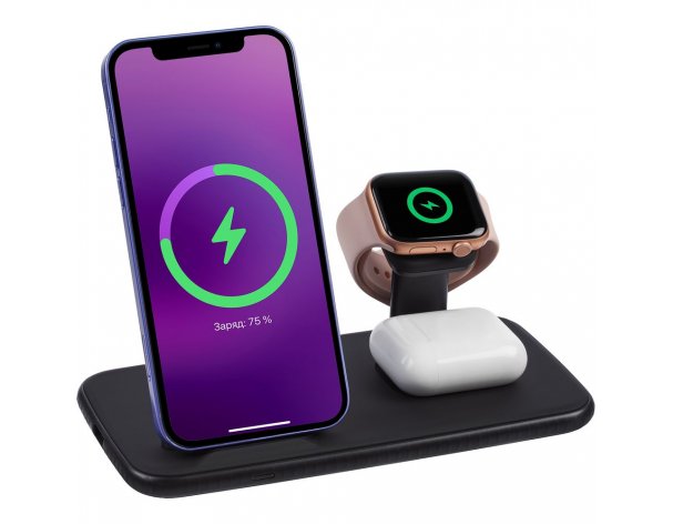 Станция зарядная Uniscend Smart Nest черная RA-137429