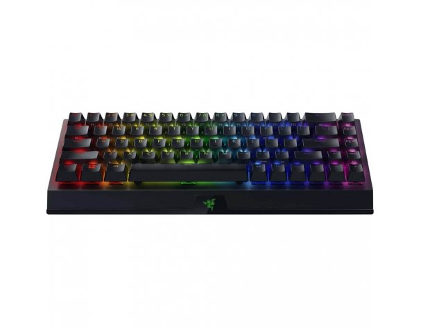 Клавиатура Razer BlackWidow V3 Mini Green Switch (RZ03-03891600-R3R1)