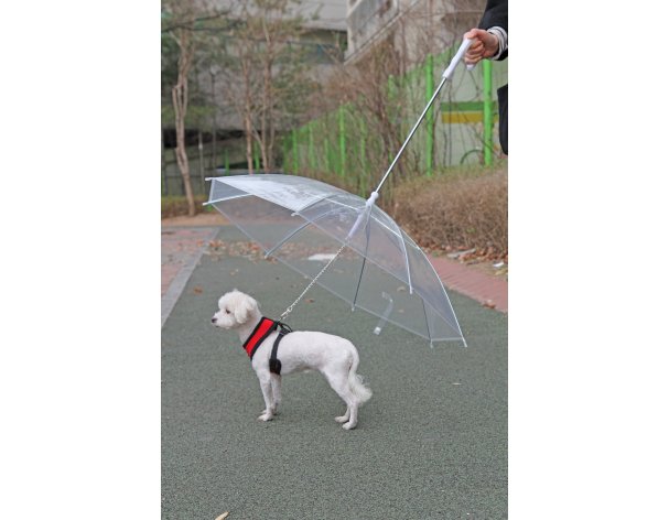 Зонт для собак Puppia прозрачный, 72 см RA-325215