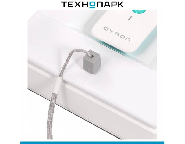 Window cleaner Qyron RW901