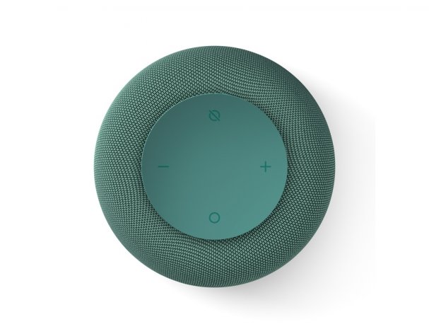 Smart speaker VK Capsule Mini with voice assistant Marusia coniferous green