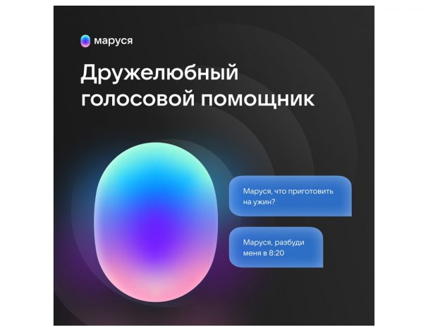 Колонка умная VK Капсула с голосовым помощником Марусей черный
