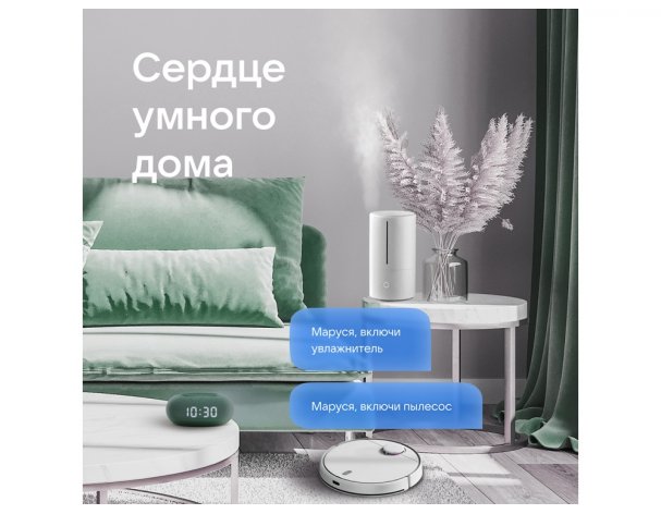 Smart speaker VK Capsule Mini with voice assistant Marusia coniferous green