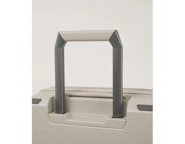 Suitcase Echolac Nexus 40x52x22.5 cm, silver (1123TS233919200)