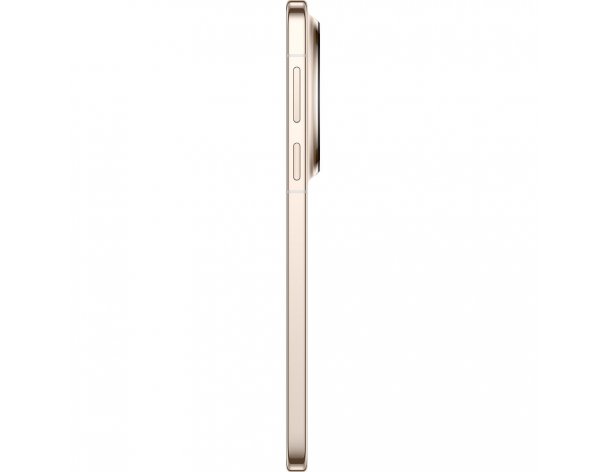 Смартфон Huawei Mate 80 Pro 512 ГБ золотой (51098SRB)