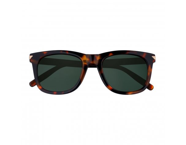 Sunglasses Zippo, unisex, polycarbonate frames, brown (OB203-3)