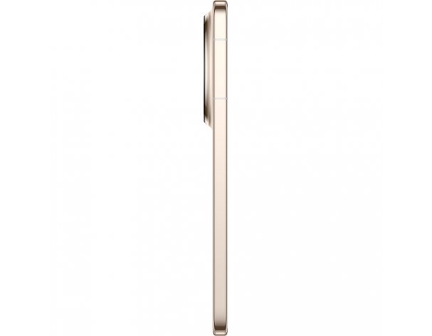 Смартфон Huawei Mate 80 Pro 512 ГБ золотой (51098SRB)