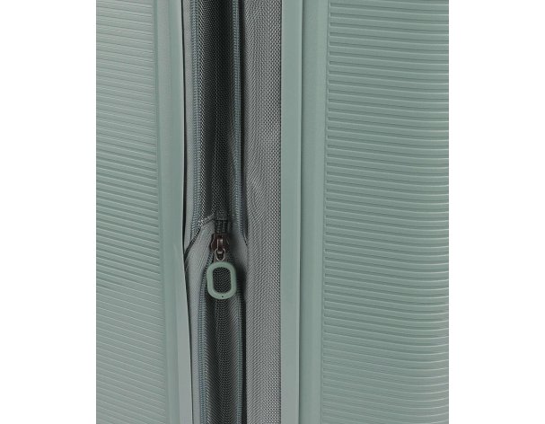 Suitcase Echolac Forza 52x75x31 cm, green (1124TW005485280)