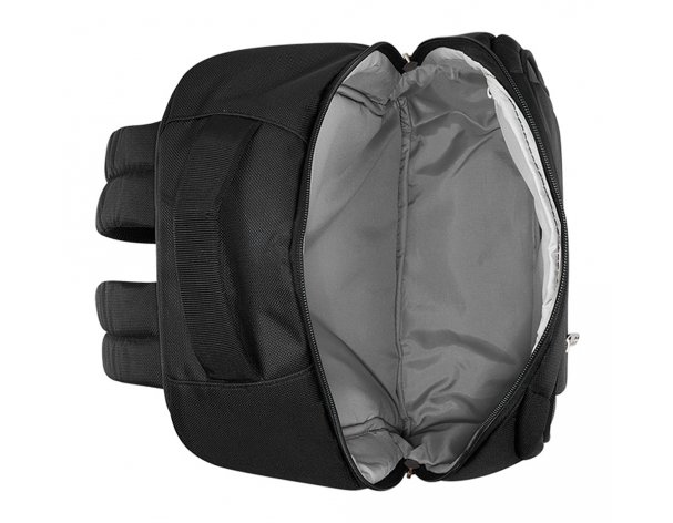 Backpack Delsey Pin Up 6, 30x42x15.5 cm, black (00343061000)