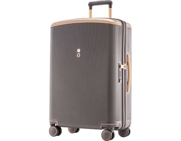 Чемодан Echolac Dynasty Vlx, 46,5x67,5x26 см, коричневый (1125T1301186240)