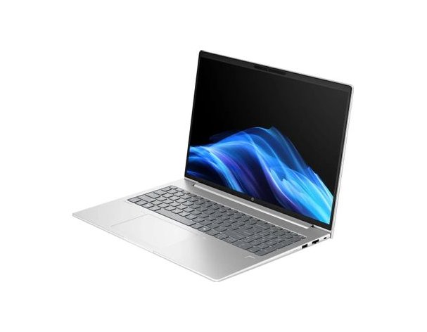 Laptop HP ProBook 4 G1i, 16, IPS, Intel Core Ultra 5 225U 1.5Hz, 12-core, 16GB DDR5, 256GB SSD, Intel Graphics, Windows 11 Pro, silver [bb3q4ut]