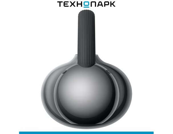 Headphones Huawei FreeClip 2 Robin-T10 black (55038692)