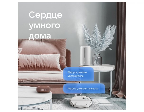 Smart speaker VK Capsule Mini with voice assistant Marusia terracotta