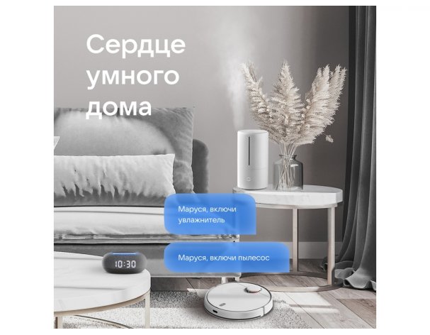 Smart speaker VK Capsule Mini with voice assistant Marusia dark grey
