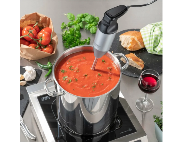 Hand blender Caso HB 2400 Pro XL