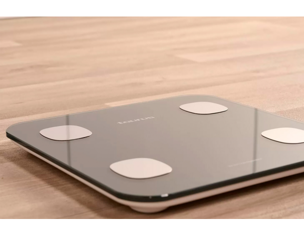 Floor scales Taurus Inception Connect