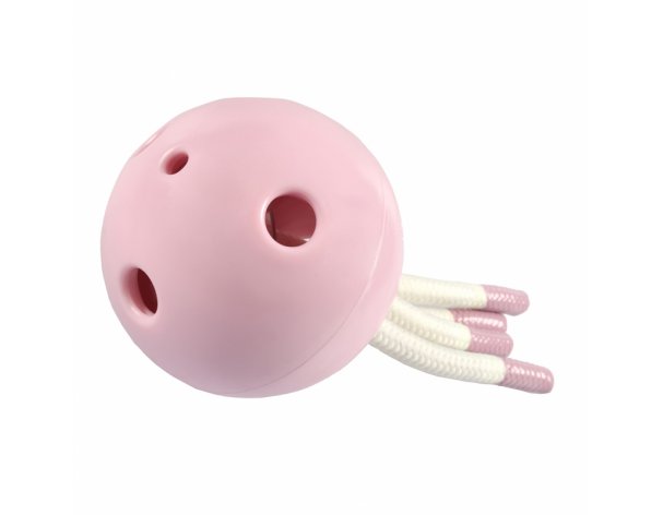 Educational dog toy Petit Milo, pink