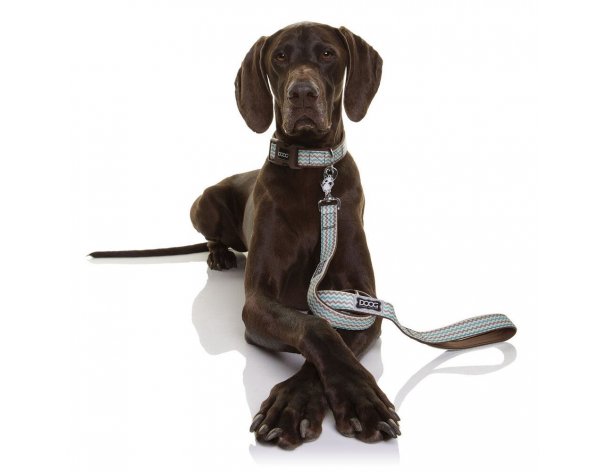 Collar for dogs Doog Benji brown - blue zigzag, L, 42-62 cm RA-325268