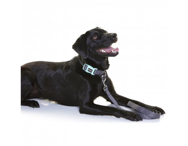 Leash for dogs Doog Pongo black with white specks, L, 130x2.5 cm RA-325247