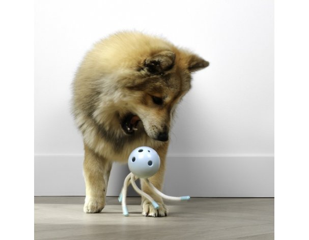 Игрушка для собак Petit Milo голубая RA-325337