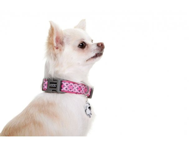 Dog Collar Doog Toto, Pink with Pattern, S, 23-34 cm