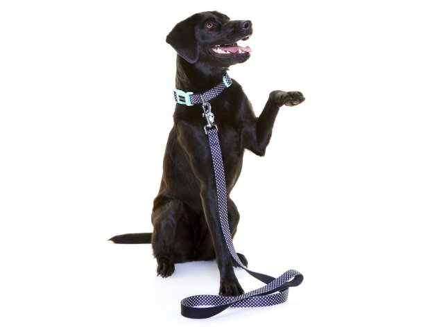 Collar for dogs Doog Pongo black with white specks, L, 42-62 cm RA-325244
