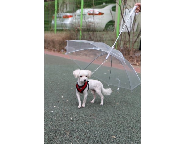 Зонт для собак Puppia прозрачный, 72 см RA-325215
