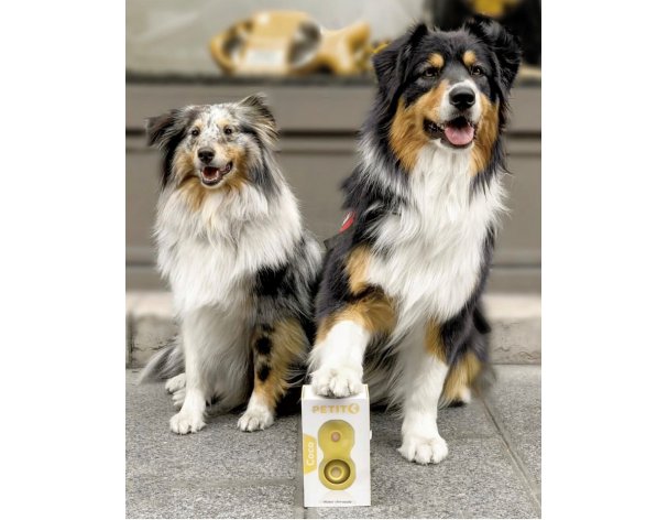 Toy for dogs Petit Coco yellow RA-325328