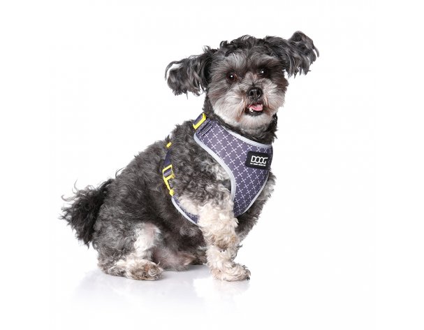 Dog harness Doog Neoflex Odie, gray-yellow, S, 32-44cm