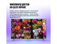TV Yandex TV Station Basic QLED with Alice 55 (2025)