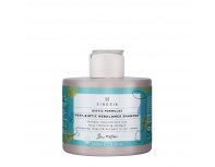 Шампунь для кожи головы Sinesia Post-Biotic Rebalance Shampoo с постбиотиками ребалансирубщий, 250 мл