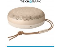 Акустика портативная Bang&Olufsen BeoSound A1 2nd Gen, Gold Tone