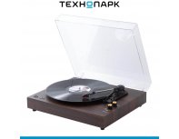 Vinyl Record Player Music Hall Concert NT