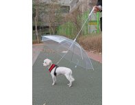 Зонт для собак Puppia прозрачный, 72 см RA-325215