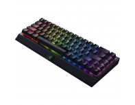 Клавиатура Razer BlackWidow V3 Mini Yellow Switch (RZ03-03890700-R3R1)