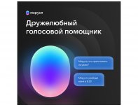 Колонка умная VK Капсула с голосовым помощником Марусей черный