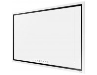 Interactive panel Samsung Flip WM55