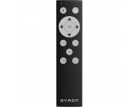 Window cleaner Qyron RW603