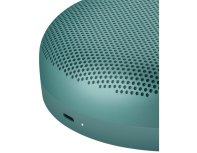 Акустика портативная Bang&Olufsen Beosound A1 3rd Gen зелёный эвкалипт